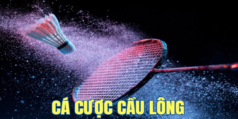 ca-cuoc-cau-long-we88