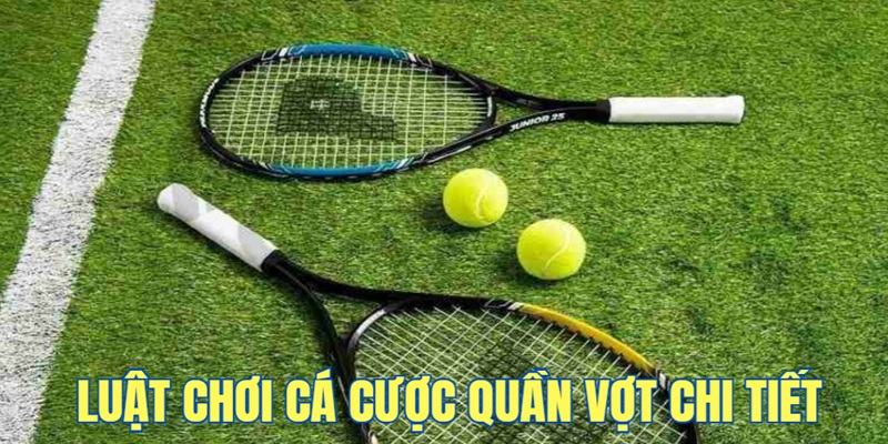 luat-choi-ca-cuoc-quan-vot-chi-tiet
