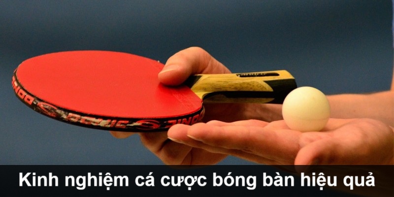 kinh-nghiem-ca-cuoc-bong-ban