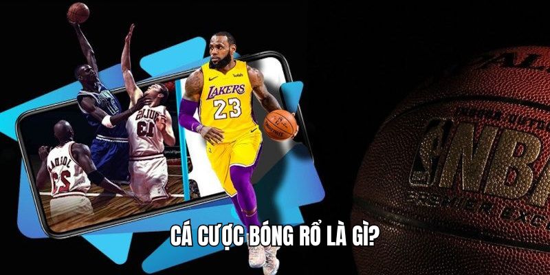 ca-cuoc-bong-ro-tong-quan